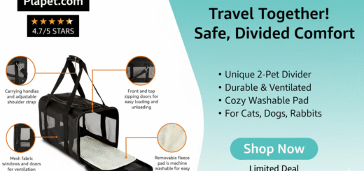 AmazonBasics Pet Carrier Review: Best Budget Choice