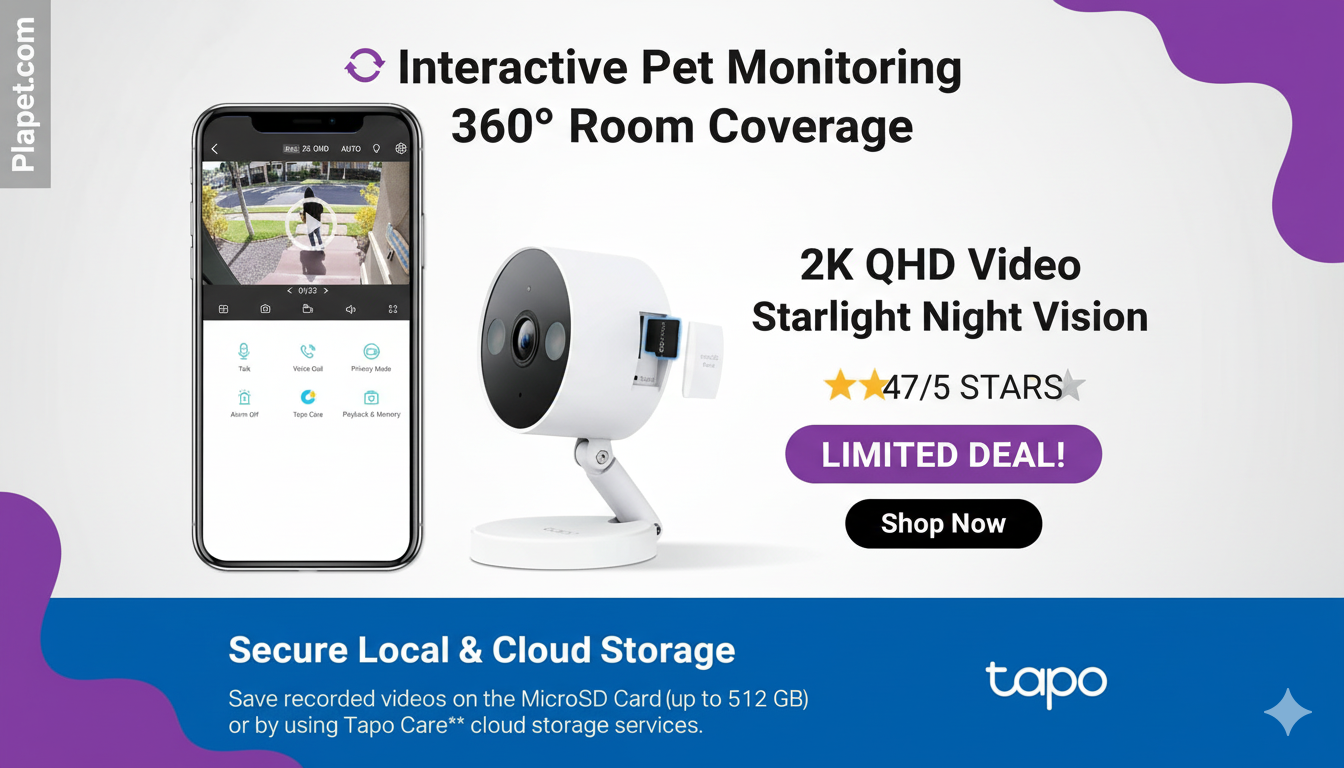 Tapo Pet Camera Review: Best Camera for Cats