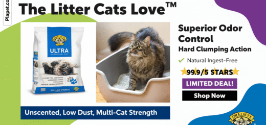 Dr. Elsey's Cat Litter Review: Is It The Best