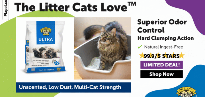 Dr. Elsey's Cat Litter Review: Is It The Best