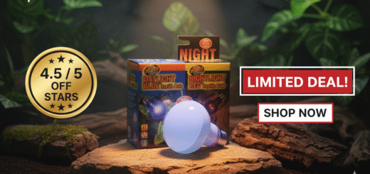 Zoo Med Infrared Heat Lamp Review: 24/7 Reptile Heat?