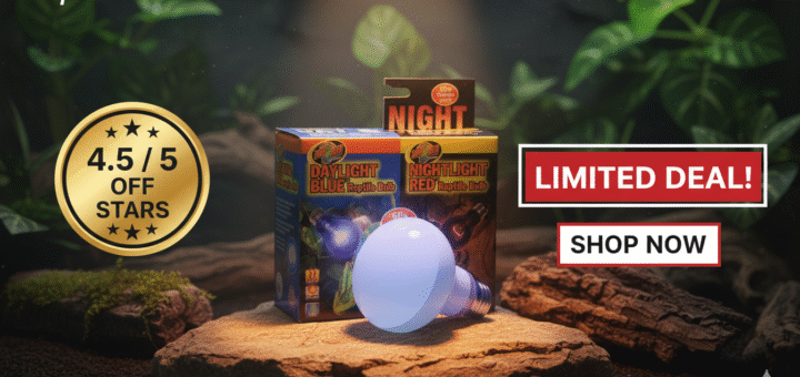 Zoo Med Infrared Heat Lamp Review: 24/7 Reptile Heat?