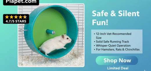 Kaytee 12-Inch Exercise Wheel Review: Is It Safe & Quiet?