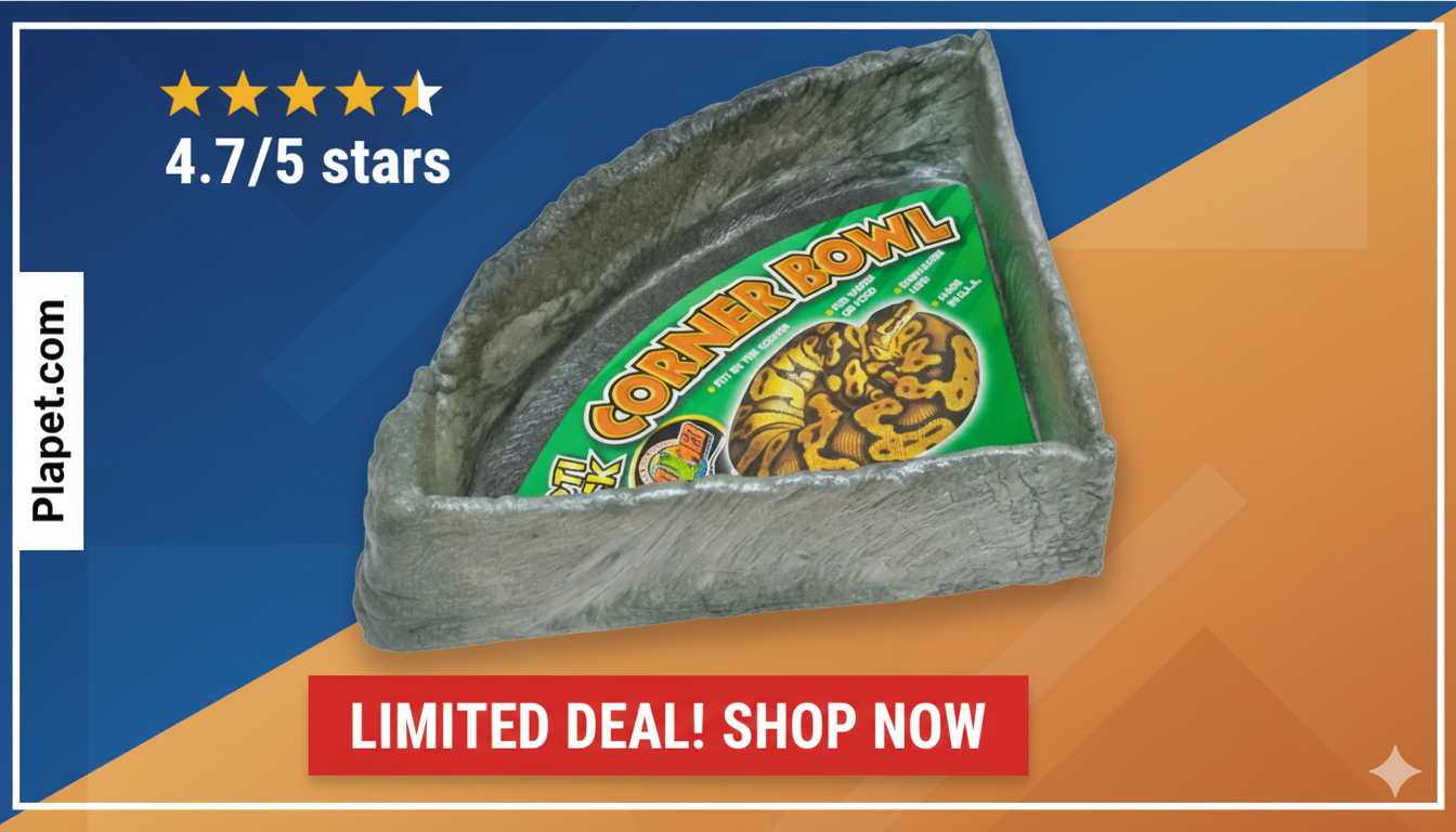 Zoo Med Reptile Rock Dish Review: End Spills for Good