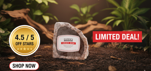Fluker's Corner Reptile Bowl Review: Is It Worth It?