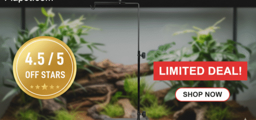 Reptile Heat Lamp Stand Review: A Must-Have?