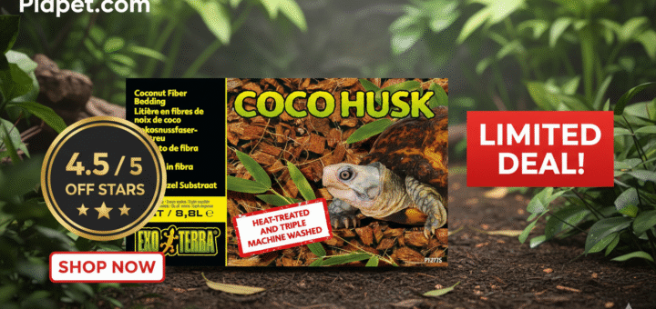 Exo Terra Plantation Soil Review: Is It Worth Buying?