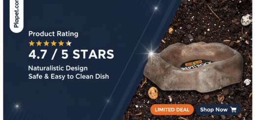 Zoo Med Repti Rock Dish Review: Worth the Hype?