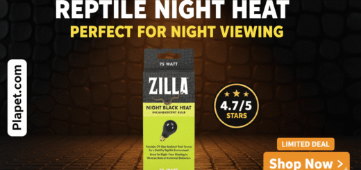 Zilla Reptile Heat Lamp Review: Worth the Hype?