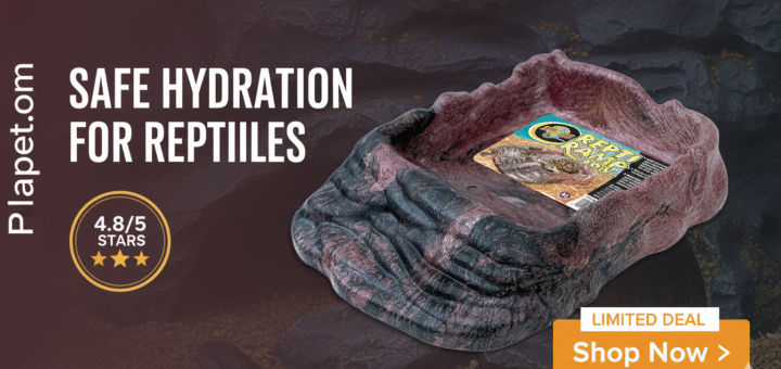 Zoo Med Repti Ramp Bowl Review: Is It Worth It?