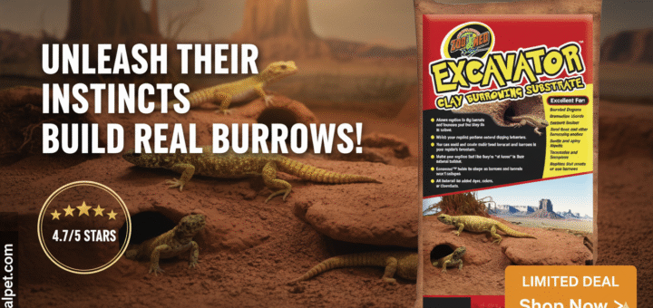 Zoo Med Excavator Clay Review: Pros, Cons & Verdict