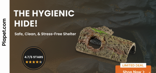 Zilla Bark Bends Review: The Best Reptile Hide?