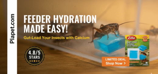 Zilla Gut-Load Cricket Drink Review: Is It Worth It?