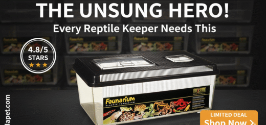 Exo Terra Faunarium Review: A Reptile Keeper's Must-Have