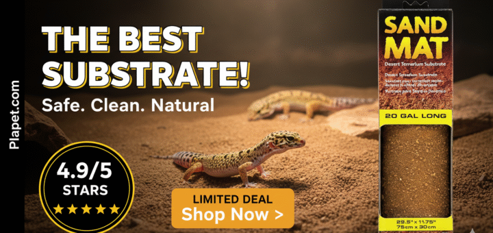 Exo Terra Sand Mat Review: Safe & Easy Substrate