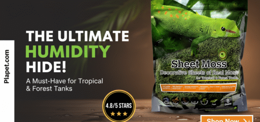 Galapagos Sheet Moss Review: Humidity & Shedding Aid