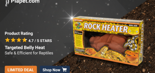 Zoo Med Rock Heater Review: An Expert's Verdict