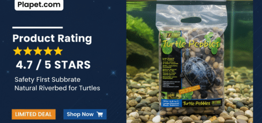 Exo Terra Turtle Pebbles: The Best Safe Substrate?