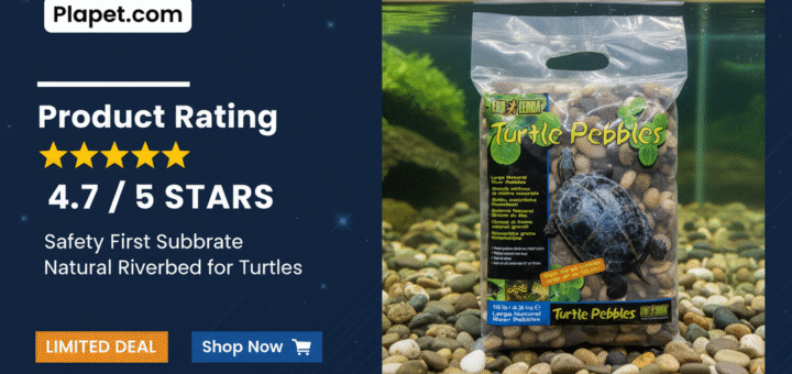 Exo Terra Turtle Pebbles: The Best Safe Substrate?