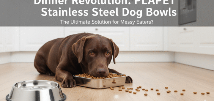 PLAPET Stainless Steel Dog Bowls Review: No More Spills