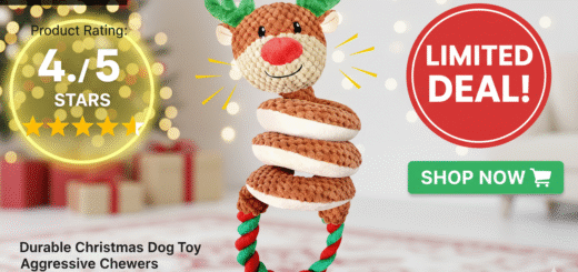 Dog Toys for Aggressive Chewers? A Jeefome Toy Review